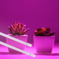 IP65 Plant Growing Led Light  36w Vegetable growing LED light
